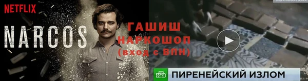 гашик Алексеевка