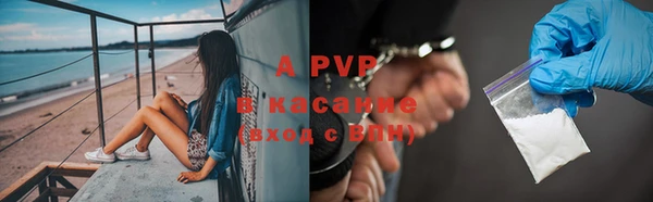 гашик Алексеевка