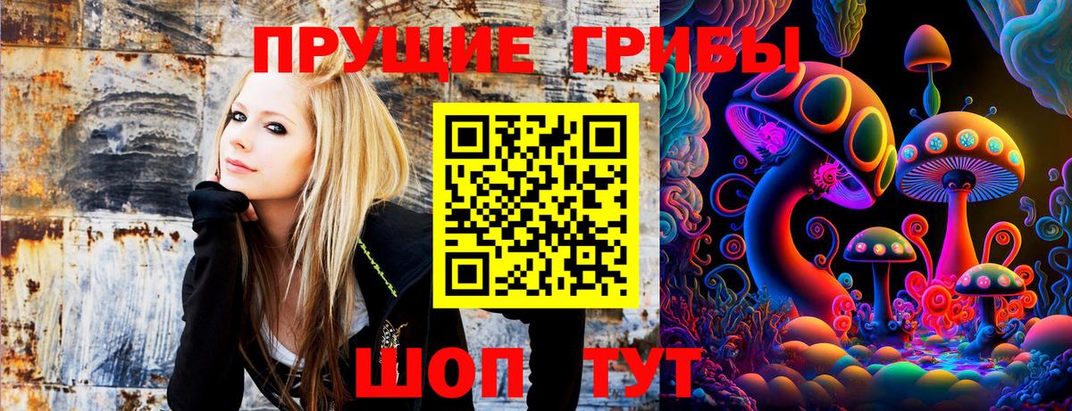 Мичуринск  Псилоцибиновые грибы GOLDEN TEACHER  Вход с VPN 