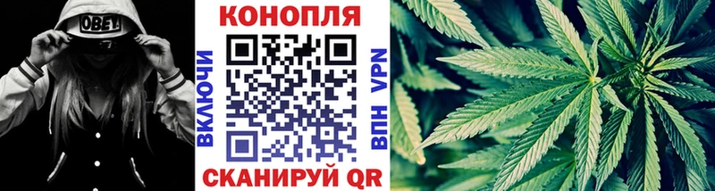 Бошки марихуана White Widow  наркошоп  Мичуринск 